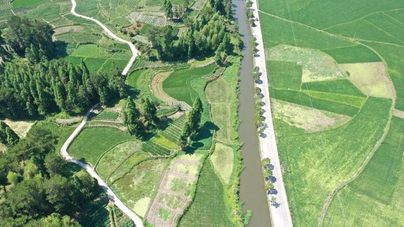 新疆水果适宜气候分析：揭秘新疆水果的气候密码