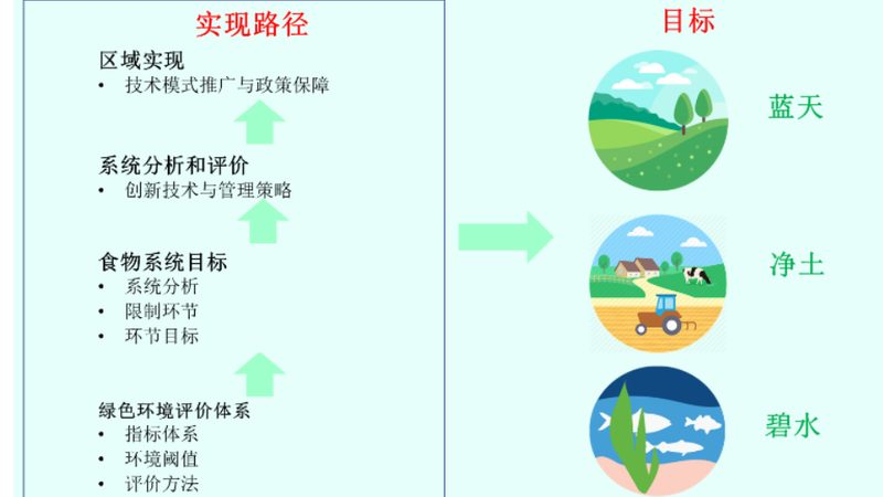 土壤对比：揭秘粮食种植的根基差异