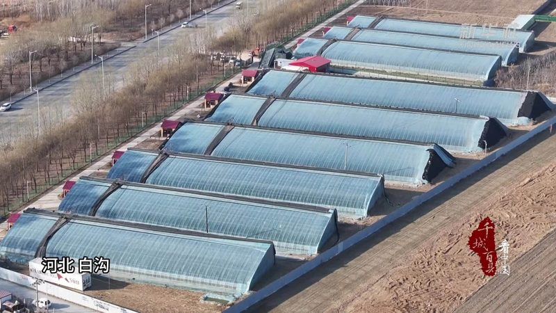 种植项目成本主要由以下几部分构成：
