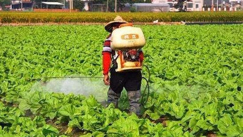 杭州绿色食品生产资质和标准
