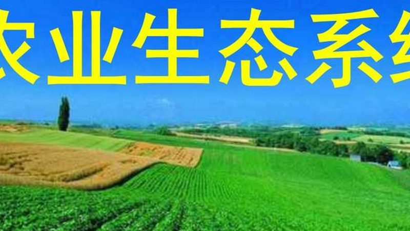 农产品电商平台定制开发的必要性及要点解析