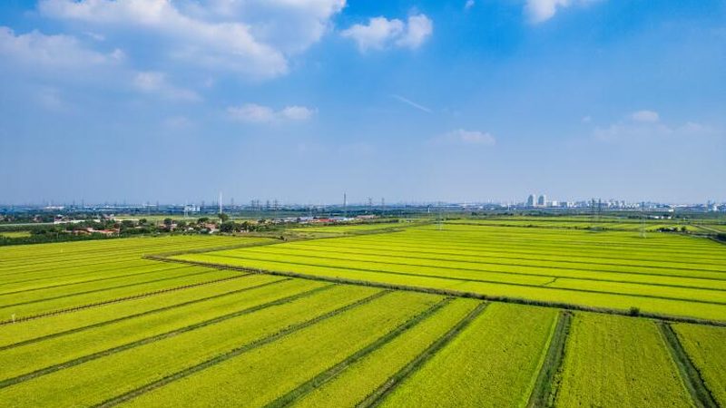 合作社进行经营范围变更，需按照以下流程办理手续：