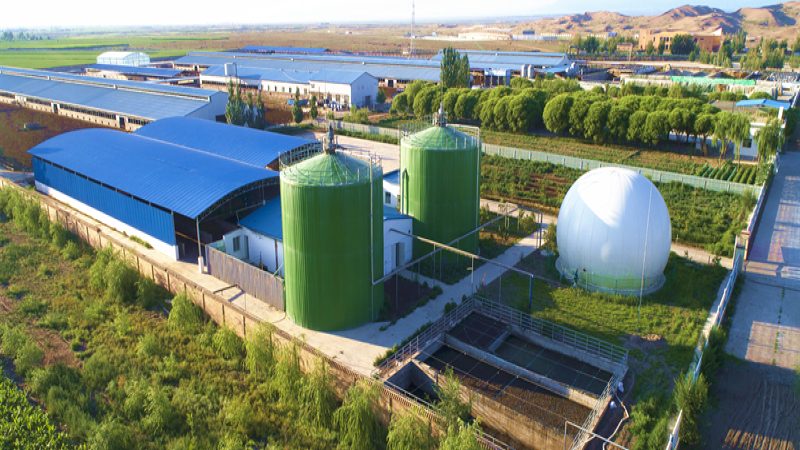 绿色食品定制礼盒报价