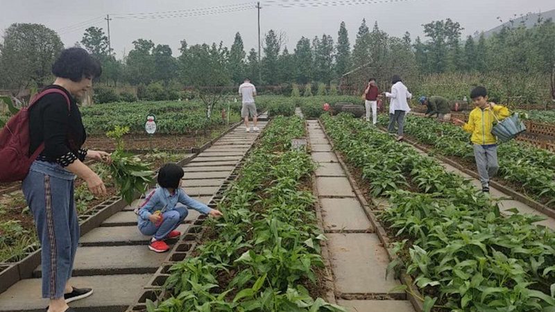 揭秘智慧农业项目代理加盟中的骗局陷阱