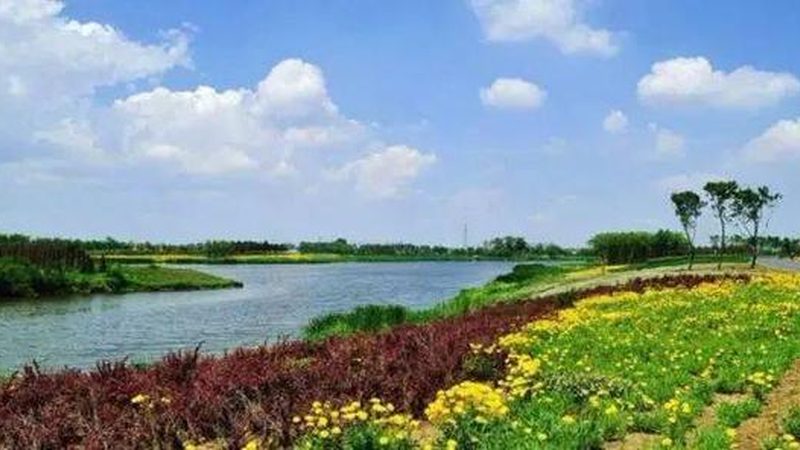 种植技术书籍：批发渠道与选书指南