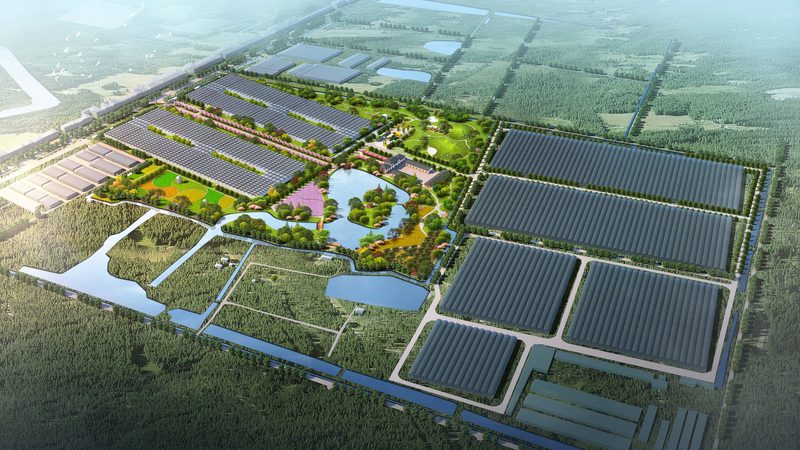 生鲜配送加盟费用明细：揭秘加盟背后的成本构成