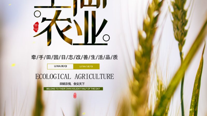 农业产业园冷链物流配套哪家口碑好